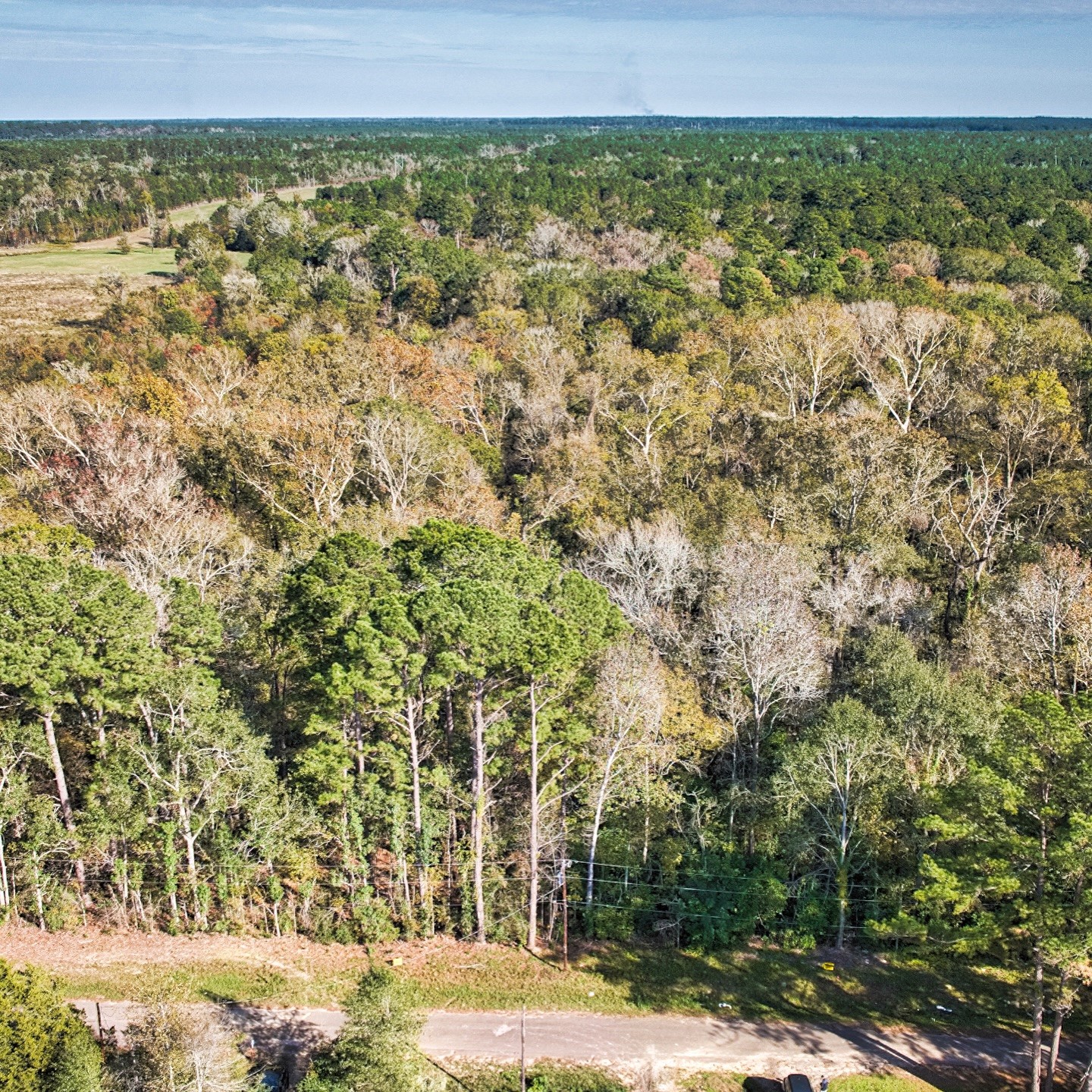 468-a Royal Creek Road Conroe, TX 77303 - Photo 3 of 15