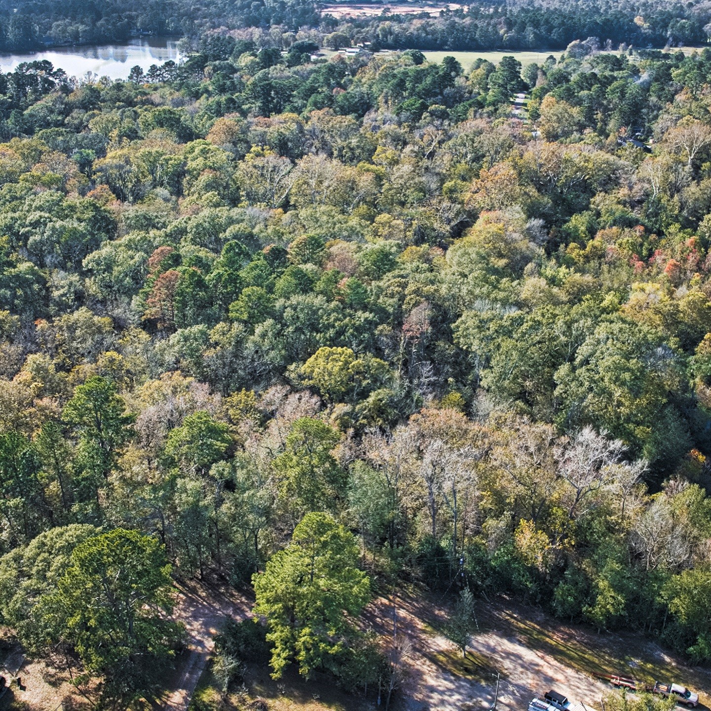 468-a Royal Creek Road Conroe, TX 77303 - Photo 5 of 15