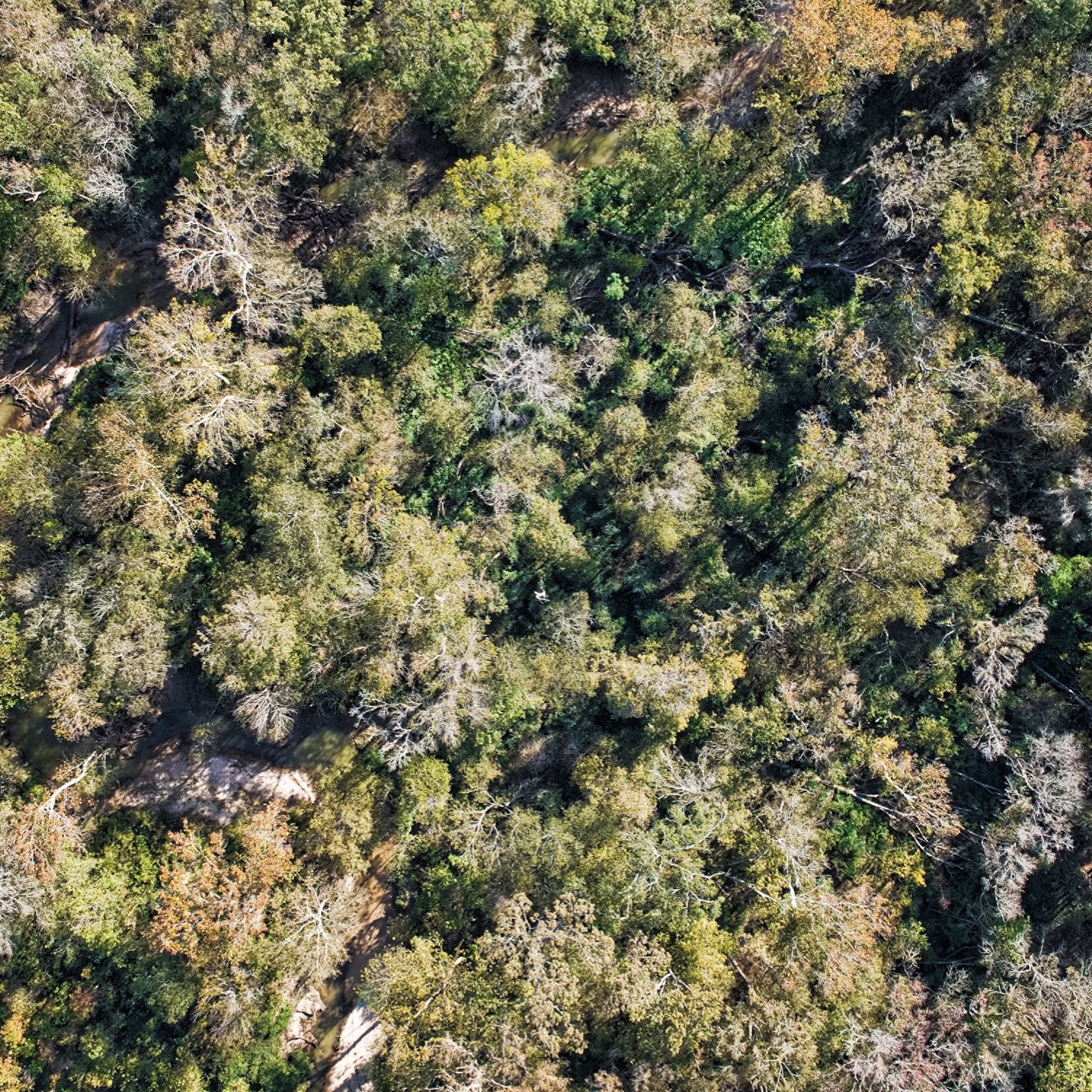 468-a Royal Creek Road Conroe, TX 77303 - Photo 6 of 15