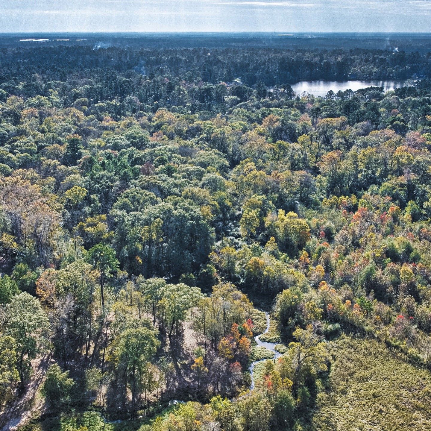 468-a Royal Creek Road Conroe, TX 77303 - Photo 8 of 15