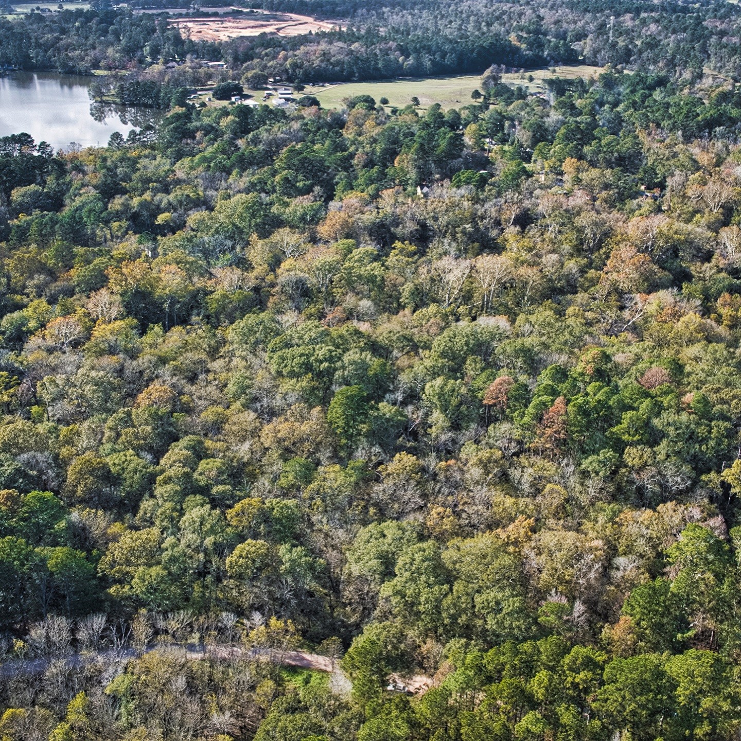 468-a Royal Creek Road Conroe, TX 77303 - Photo 9 of 15