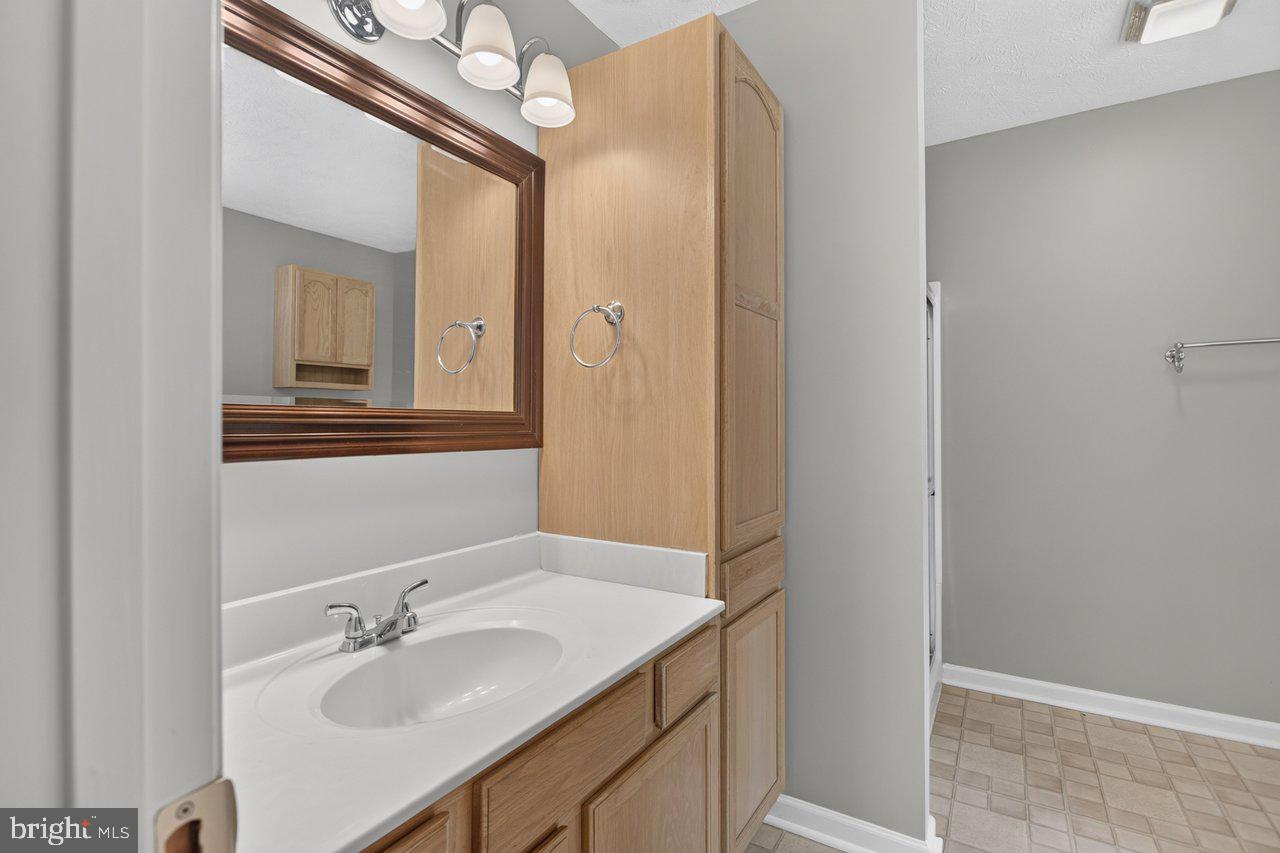 220 Oates Road Star Tannery, VA 22654 - Photo 38 of 109 Primary Bathroom