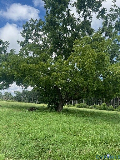 7000 Dennisville Road Amelia Court House, VA 23002 - Photo 2 of 2 a view of a park with large trees