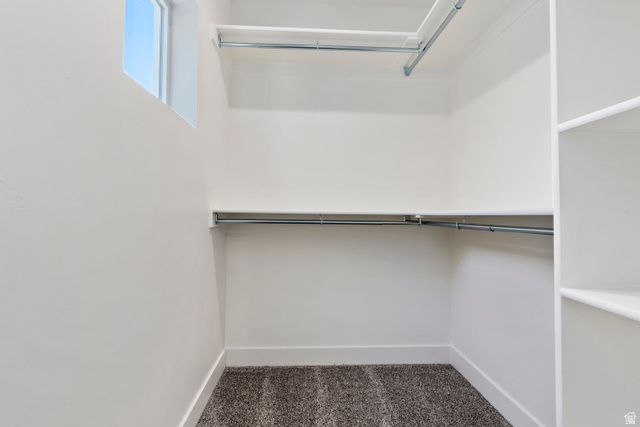 504 North 650 E Street Springville, UT 84663 - Photo 22 of 36 Walk-in closet featuring built-in shelving, dual hanging rods, a single window, and carpet flooring