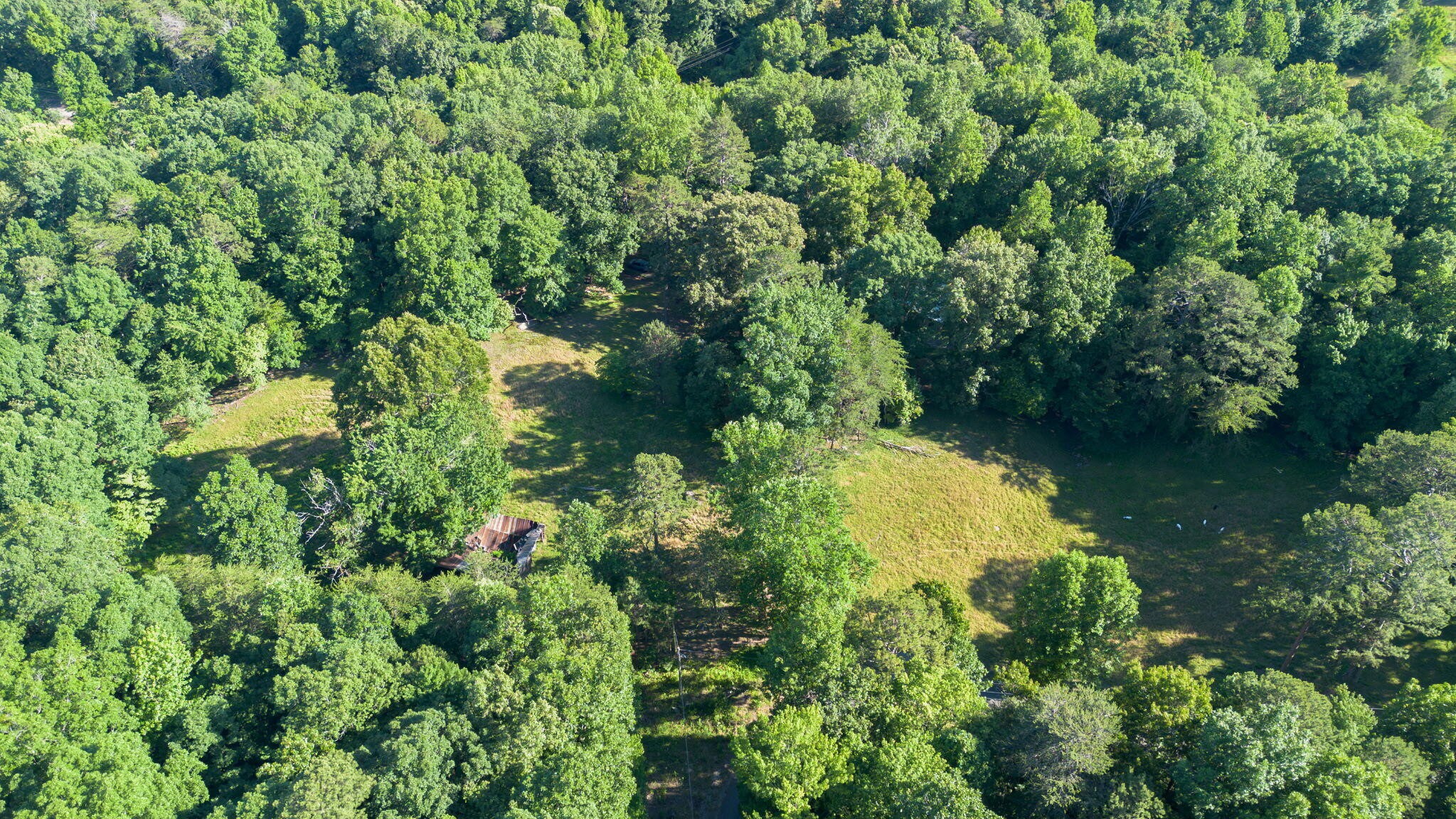 364 Gregg Road Dunlap, TN 37327 - Photo 6 of 23