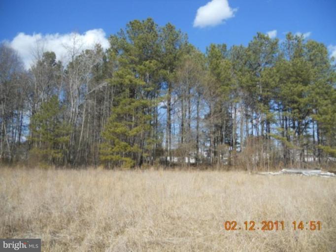 44925 Buck Redman Road Callaway, MD 20620 - Photo 1 of 2 View from field in rear.