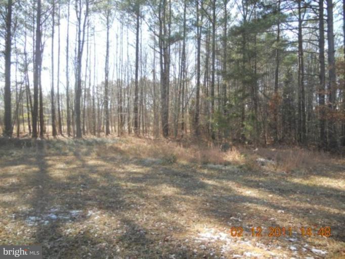 44925 Buck Redman Road Callaway, MD 20620 - Photo 2 of 2 Exterior (Main)