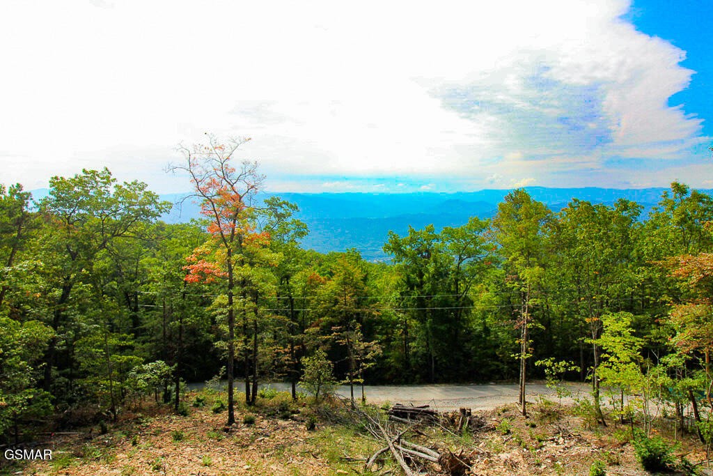 3142 Horse Gap Road Sevierville, TN 37862 - Photo 65 of 76 Gallery Image 65