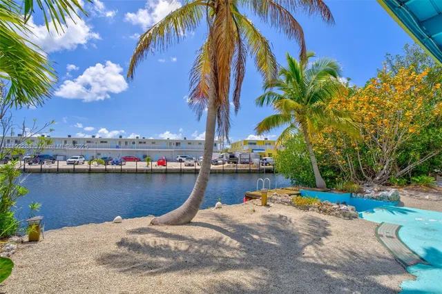 a view of a lake with a palm and lawn chairs