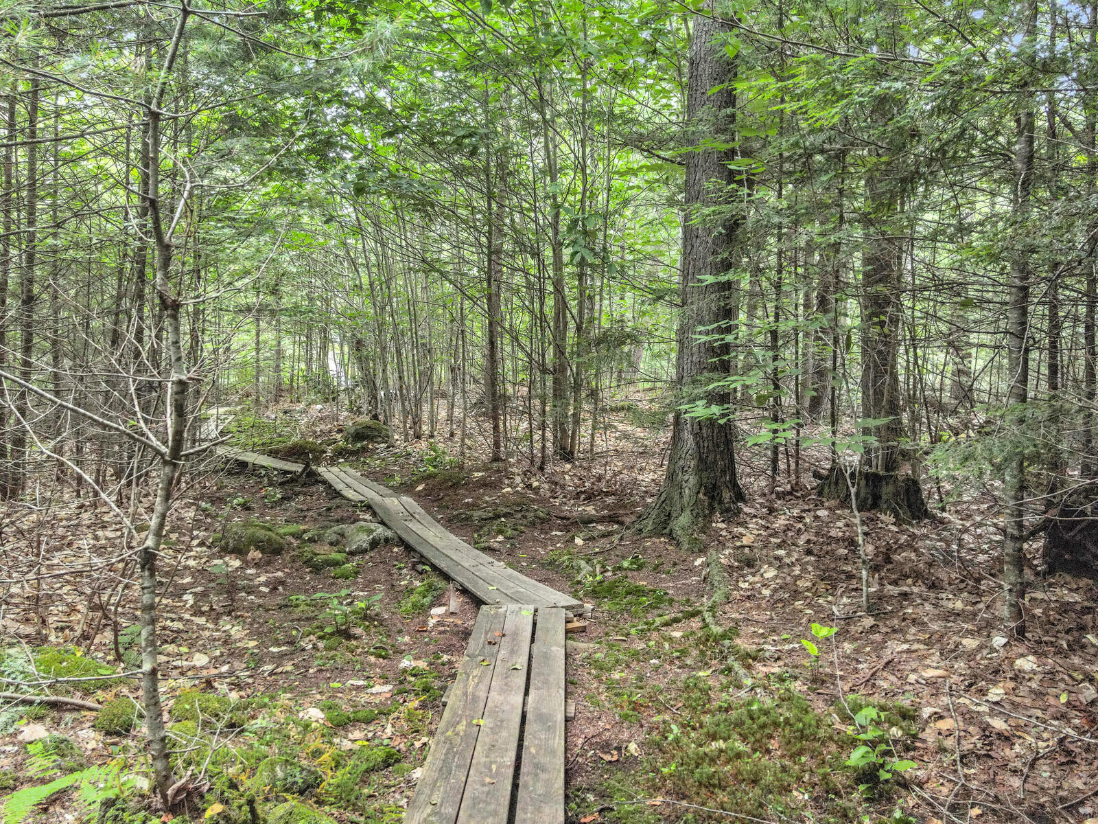 102 Chester Thwing Road Belgrade, ME 04917 - Photo 145 of 163 18_DJI_0973_DxO_mls