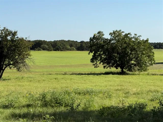 a view of a garden and a yard