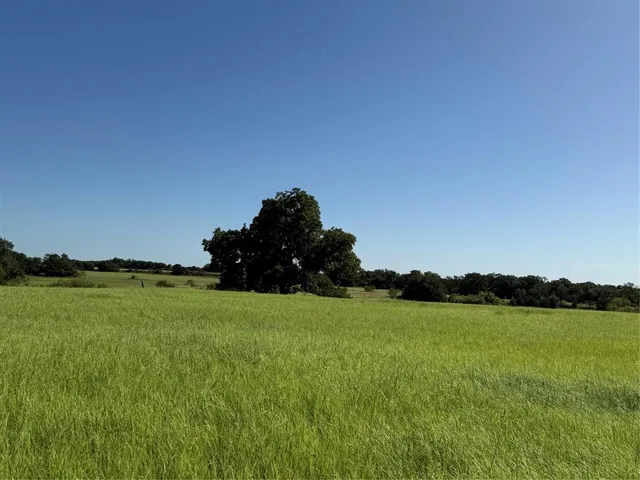 a view of a garden with a lake