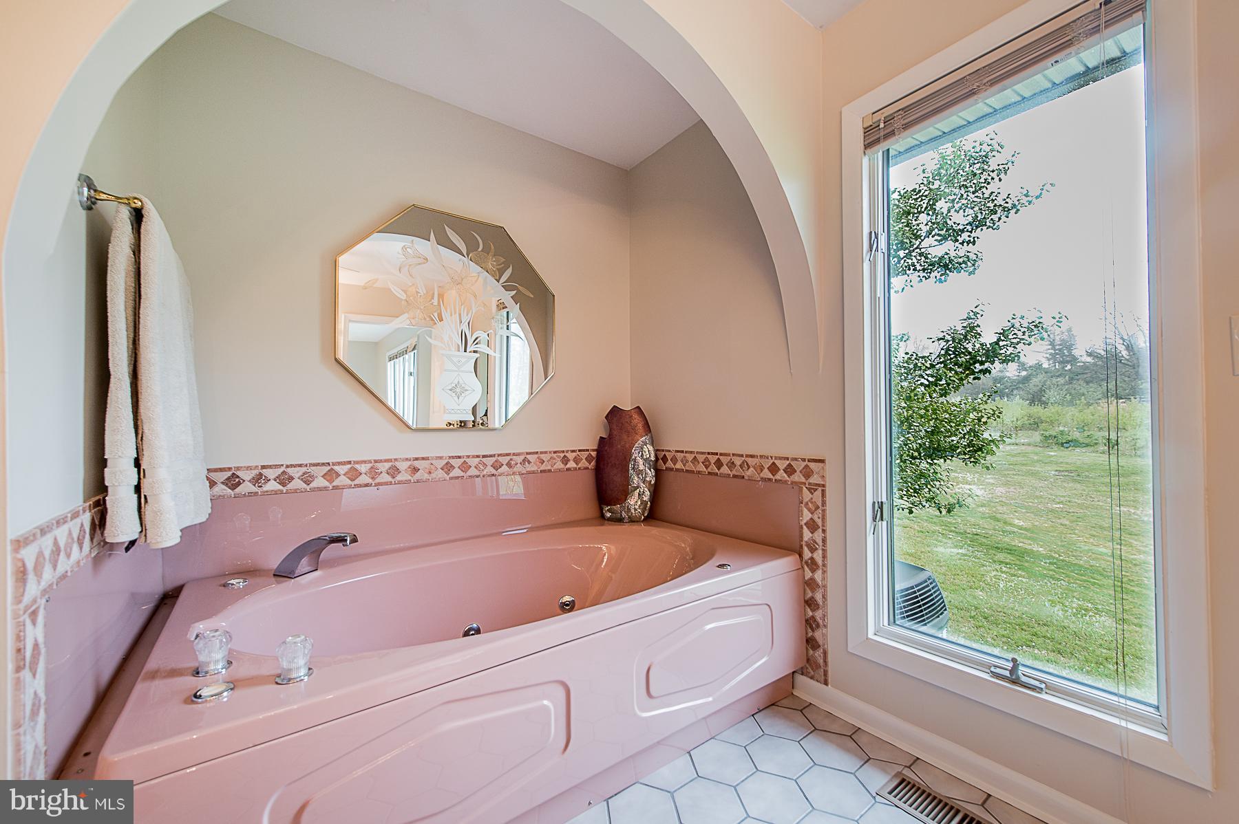 13433 Highland Road Highland, MD 20777 - Photo 18 of 30 Bath (Master)