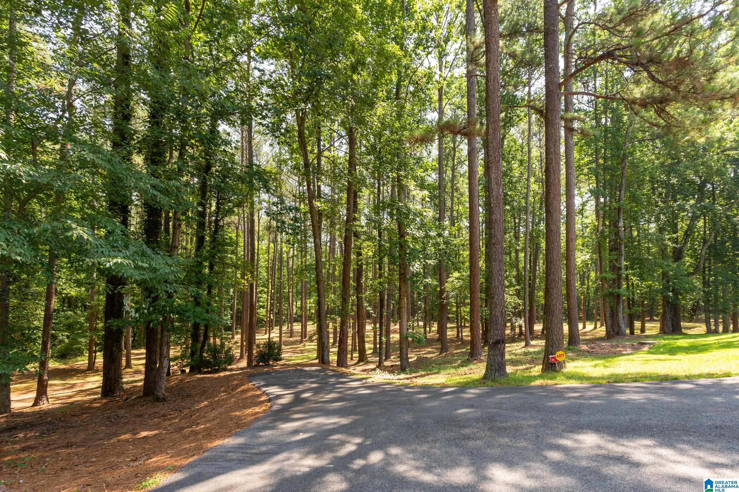507 Jasmine Hill Road Anniston, AL 36207 - Photo 44 of 45