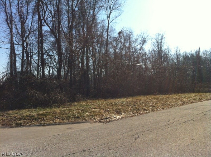 North Quarry Road Amherst, OH 44001 - Photo 1 of 4