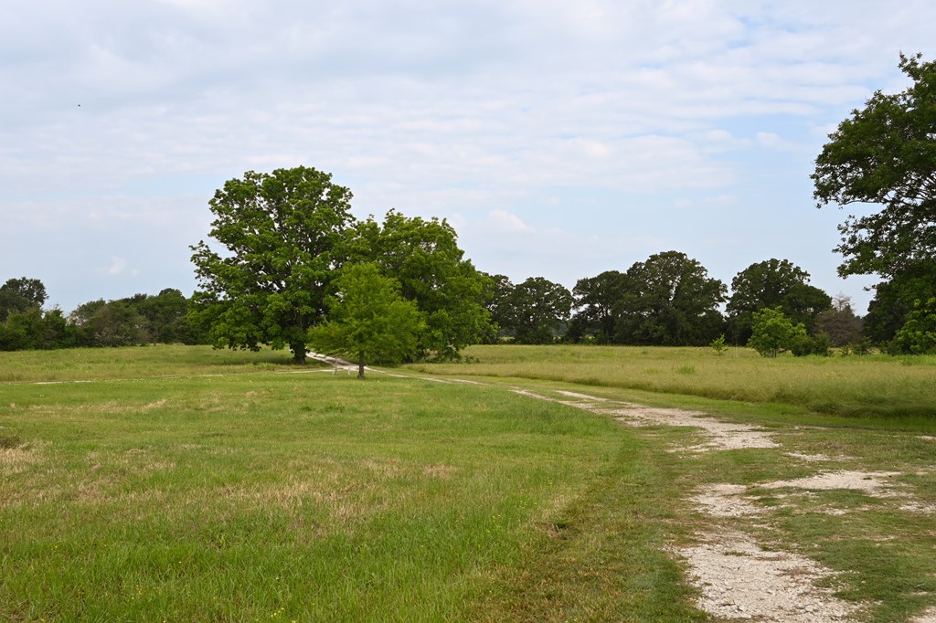 8698 River Bend Road Oakwood, TX 75855 - Photo 2 of 55