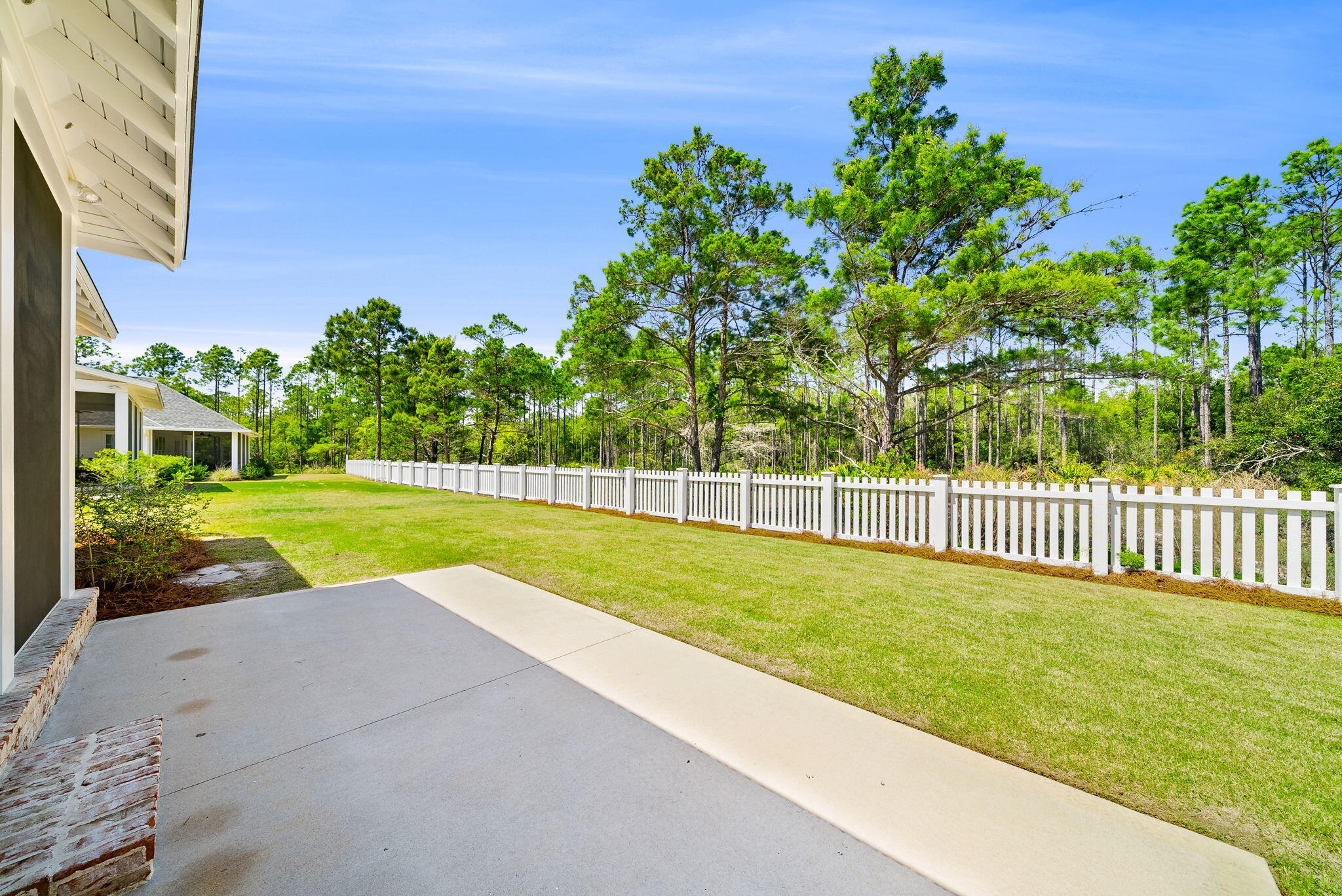 64 West Firethorn Circle Watersound, FL 32461 - Photo 35 of 63 Backyard