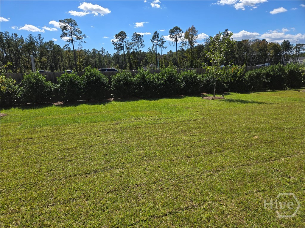 13 Blues Drive Pooler, GA 31322 - Photo 24 of 33