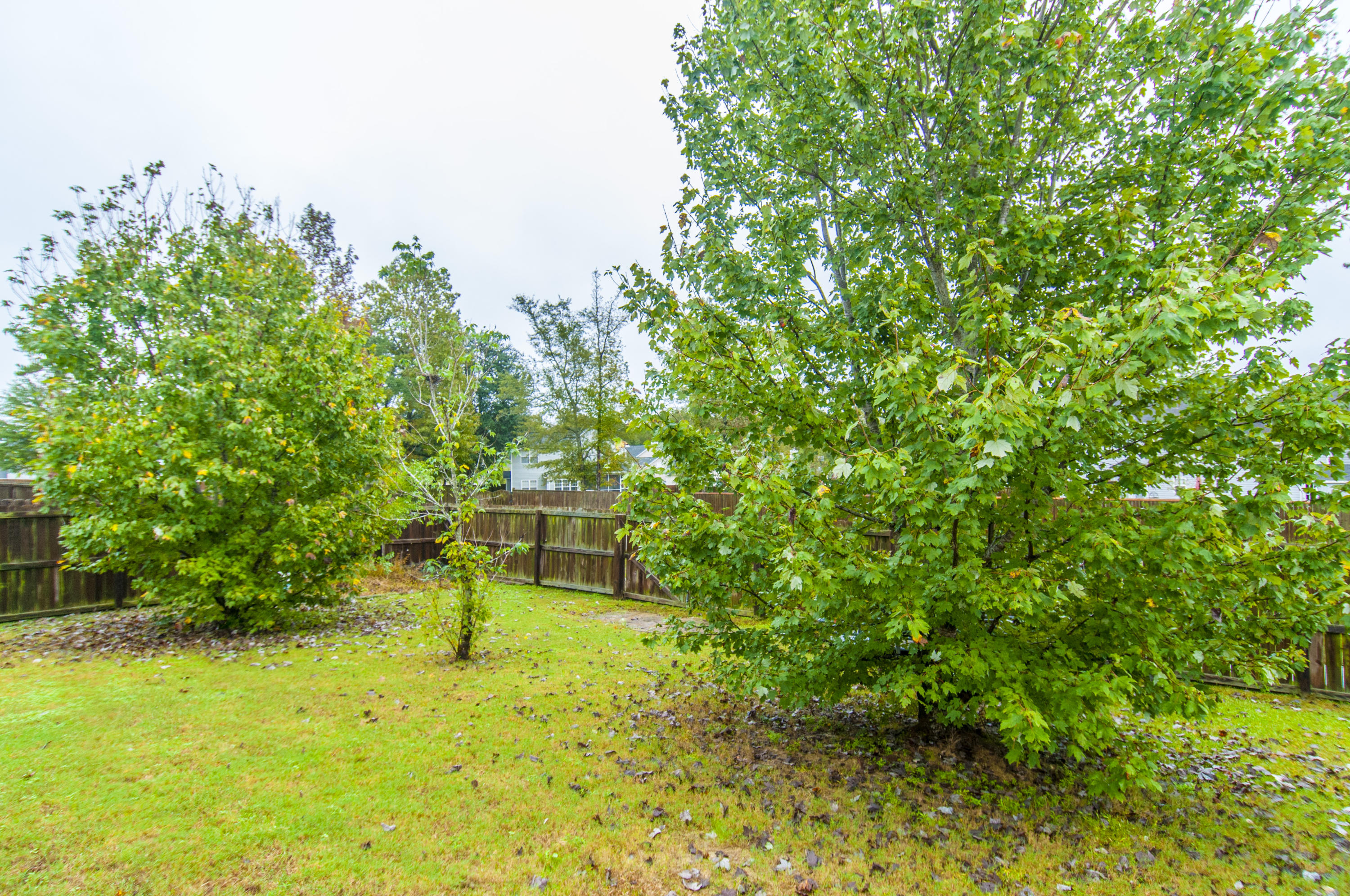 426 Black Horse Road Moncks Corner, SC 29461 - Photo 26 of 27 _DSC9602