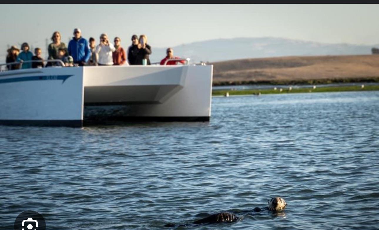 0 Bluff Road Moss Landing, CA 95039 - Photo 12 of 12 a view of outdoor space