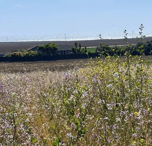 a view of outdoor space