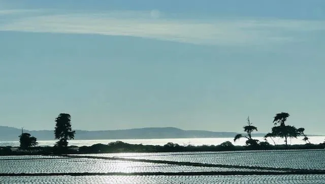 $425,000 | 0 Bluff Road, Moss Landing, CA 95039