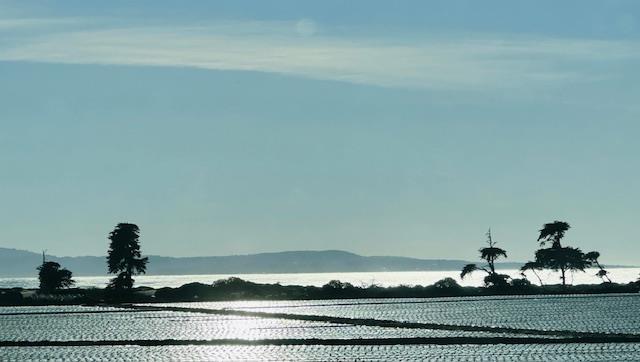 0 Bluff Road Moss Landing, CA 95039 - Photo 10 of 12