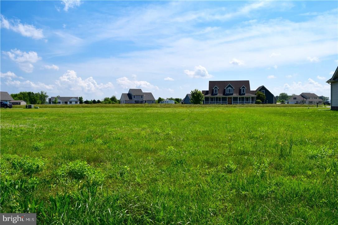 36864 Red Berry Road, Unit 4 Delmar, DE 19940 - Photo 3 of 6