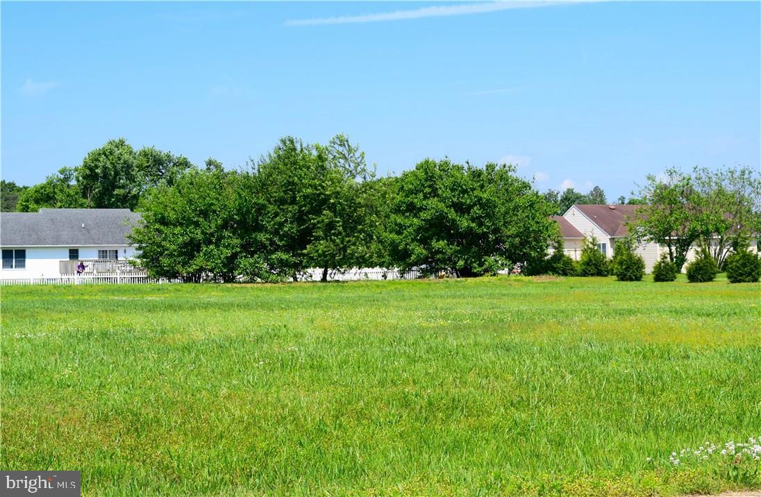 36864 Red Berry Road, Unit 4 Delmar, DE 19940 - Photo 4 of 6