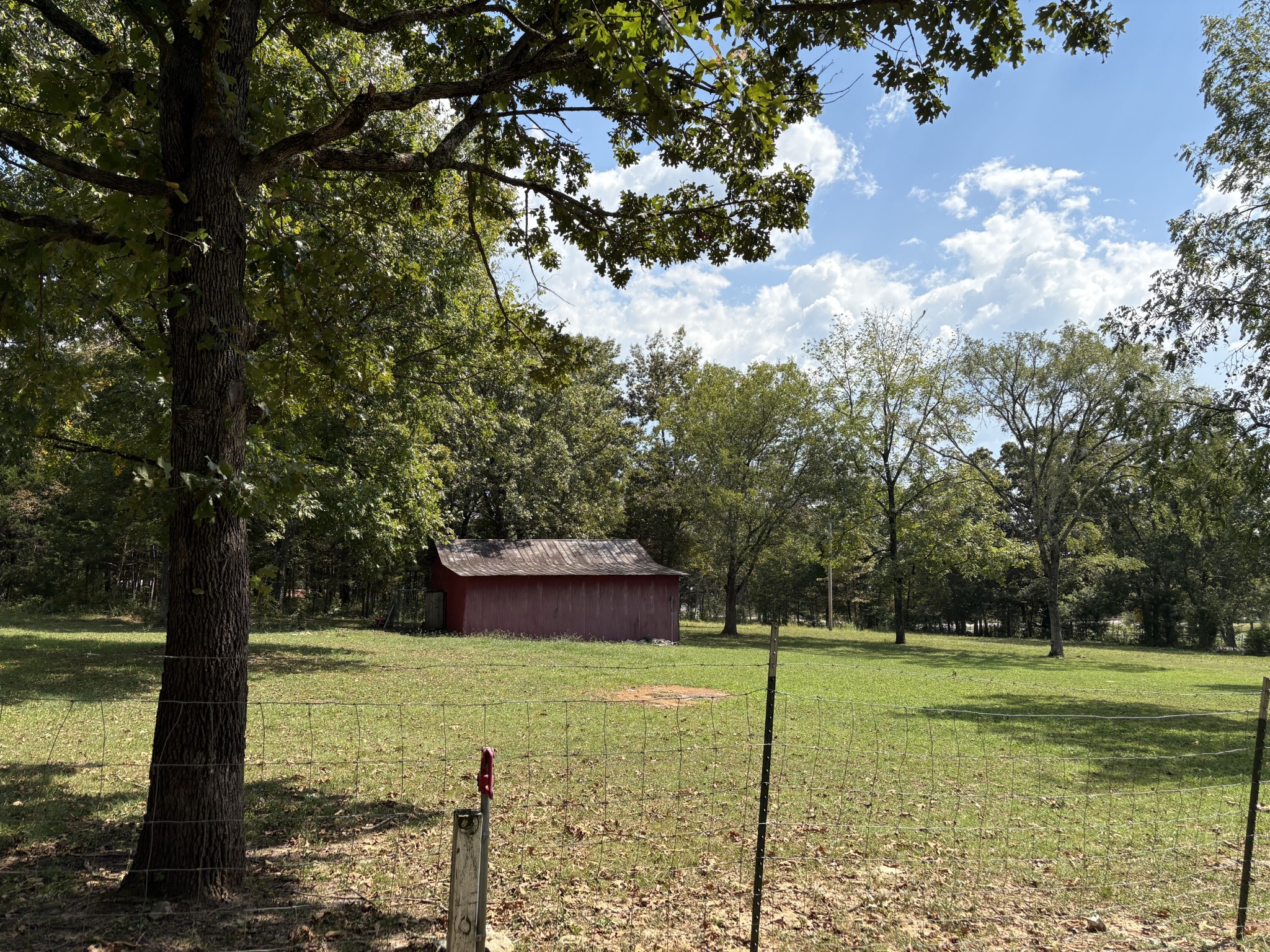 3179 Holly Grove Road Lascassas, TN 37085 - Photo 3 of 15 a view of a yard with a tree