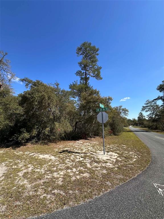 0 Southwest 36th Ave Road Ocala, FL 34473 - Photo 4 of 8 a view of a field with a snow in the background