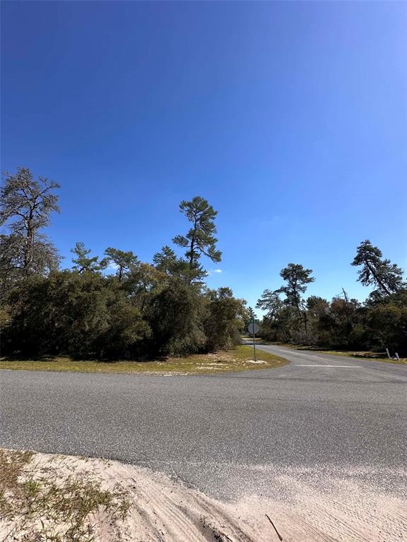 0 Southwest 36th Ave Road Ocala, FL 34473 - Photo 6 of 8 a view of a yard