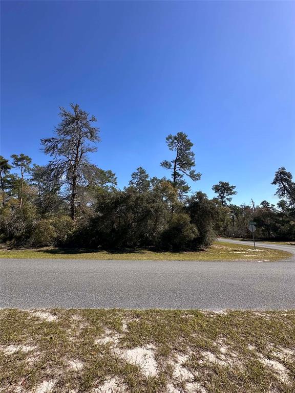 0 Southwest 36th Ave Road Ocala, FL 34473 - Photo 8 of 8 a view of a lake