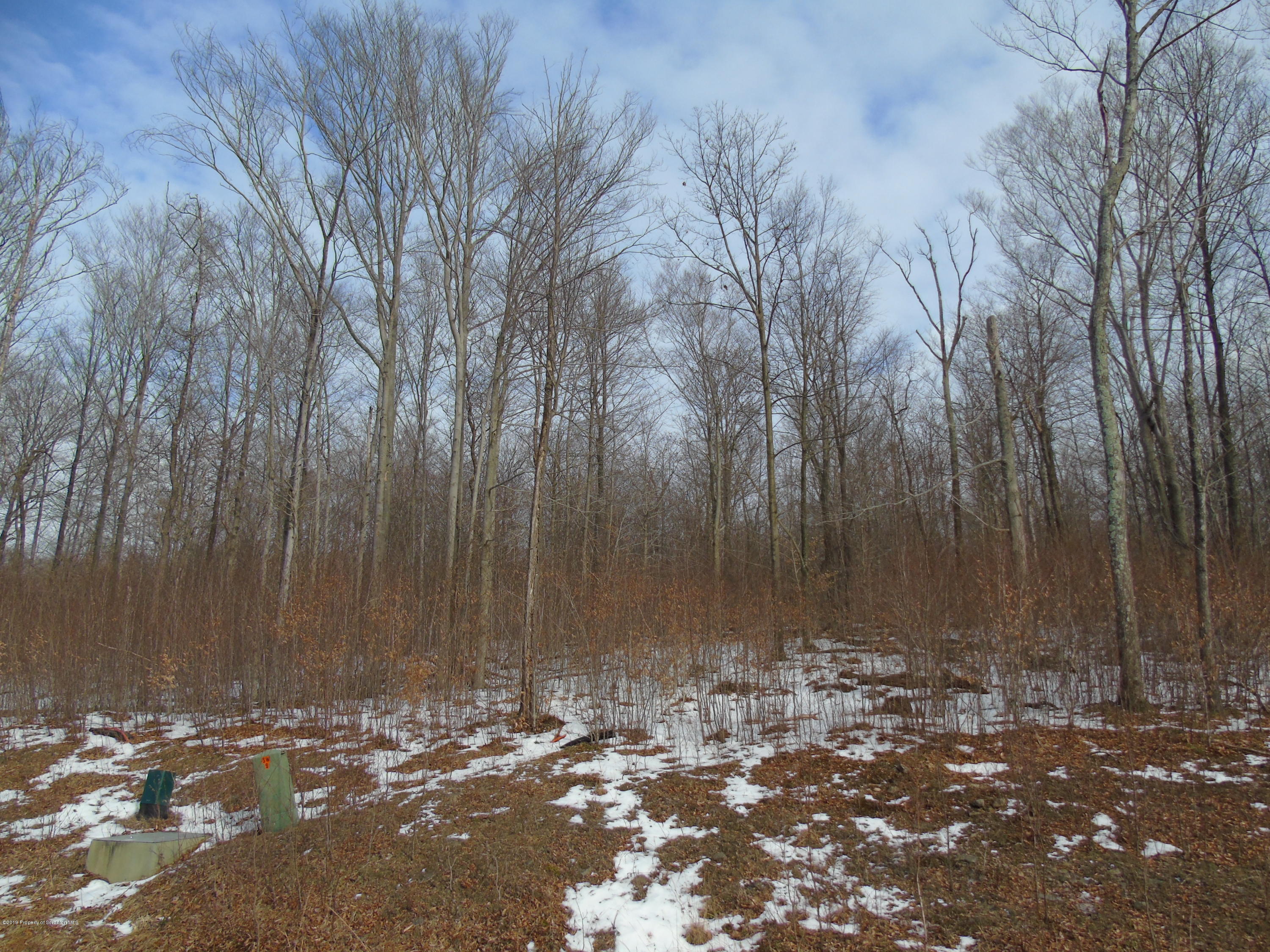 L111 Summit Woods Road Moscow, PA 18444 - Photo 1 of 15 DSC03647