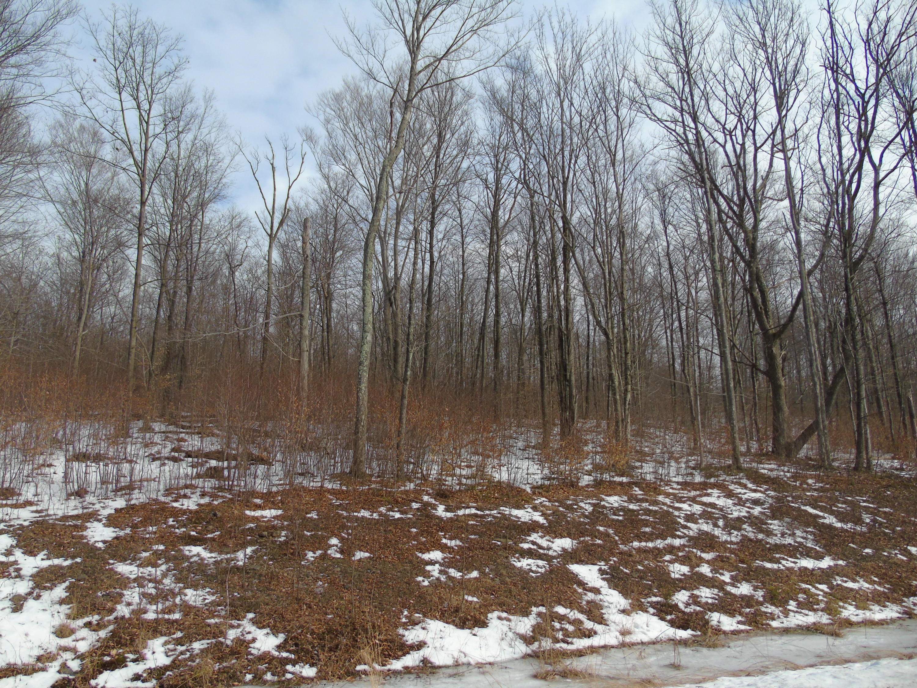 L111 Summit Woods Road Moscow, PA 18444 - Photo 2 of 15 DSC03643