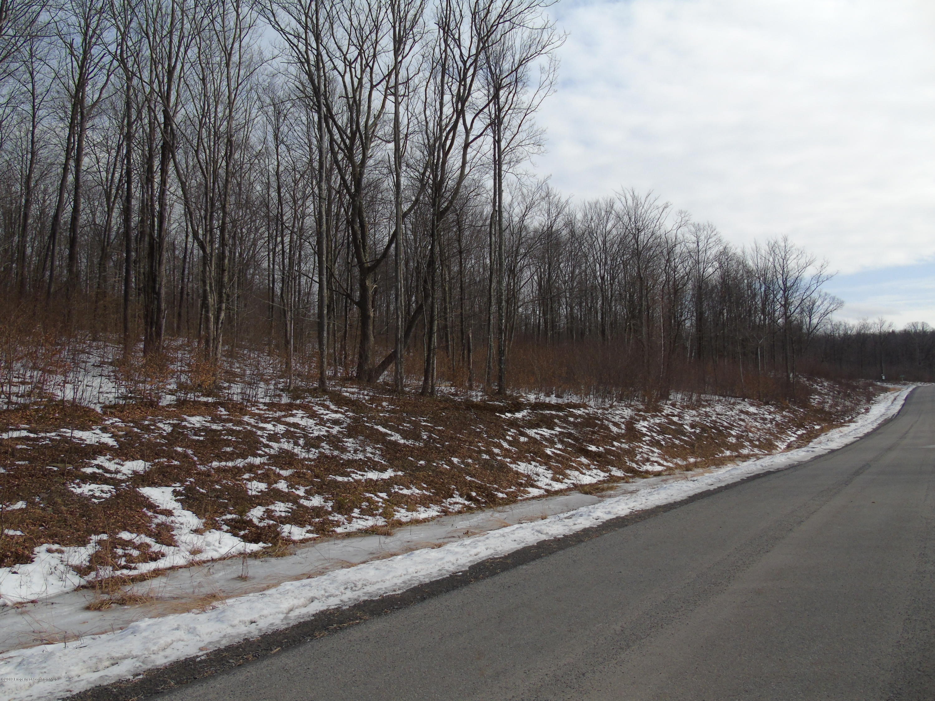 L111 Summit Woods Road Moscow, PA 18444 - Photo 3 of 15 DSC03644