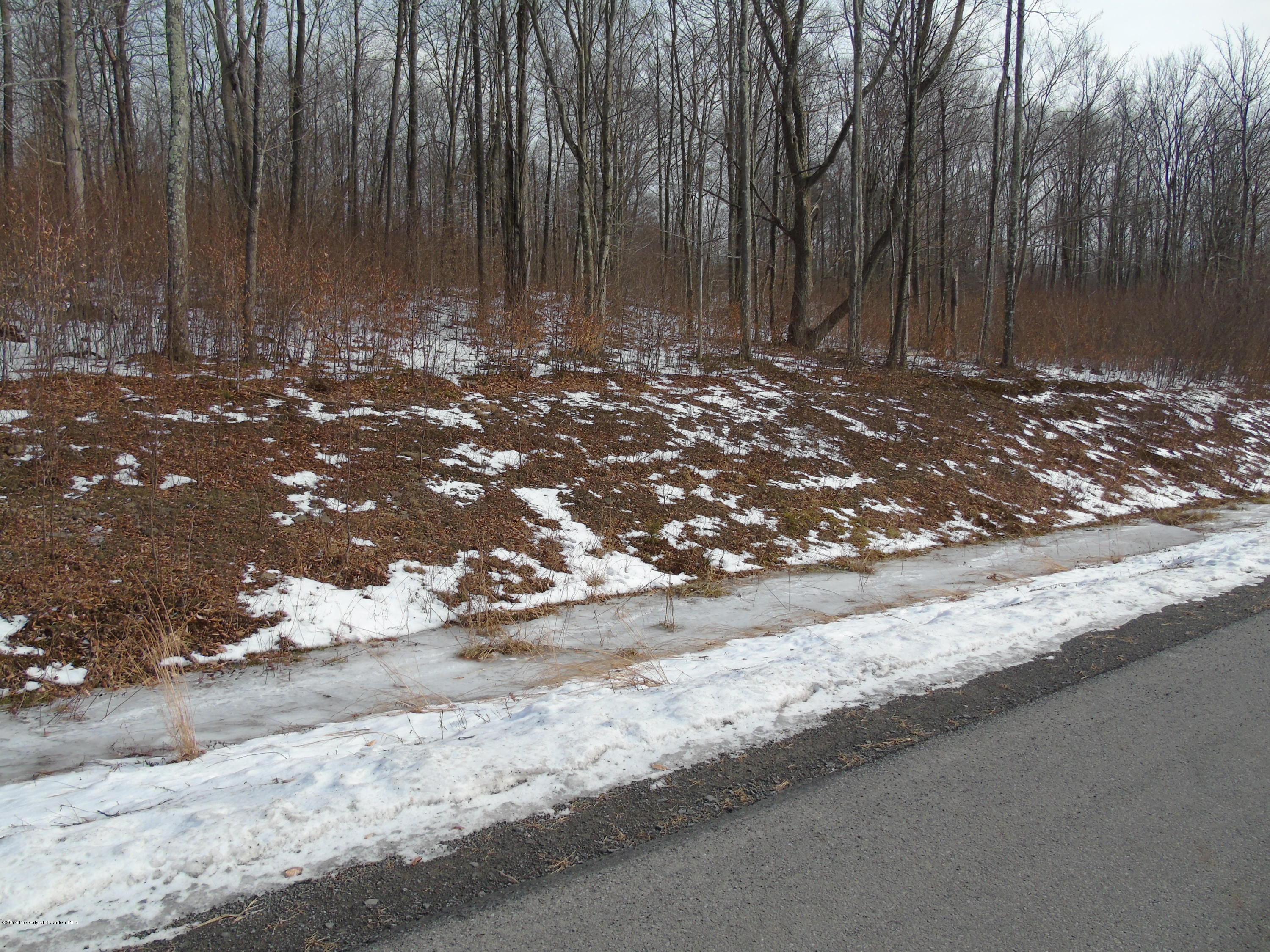 L111 Summit Woods Road Moscow, PA 18444 - Photo 6 of 15 DSC03648