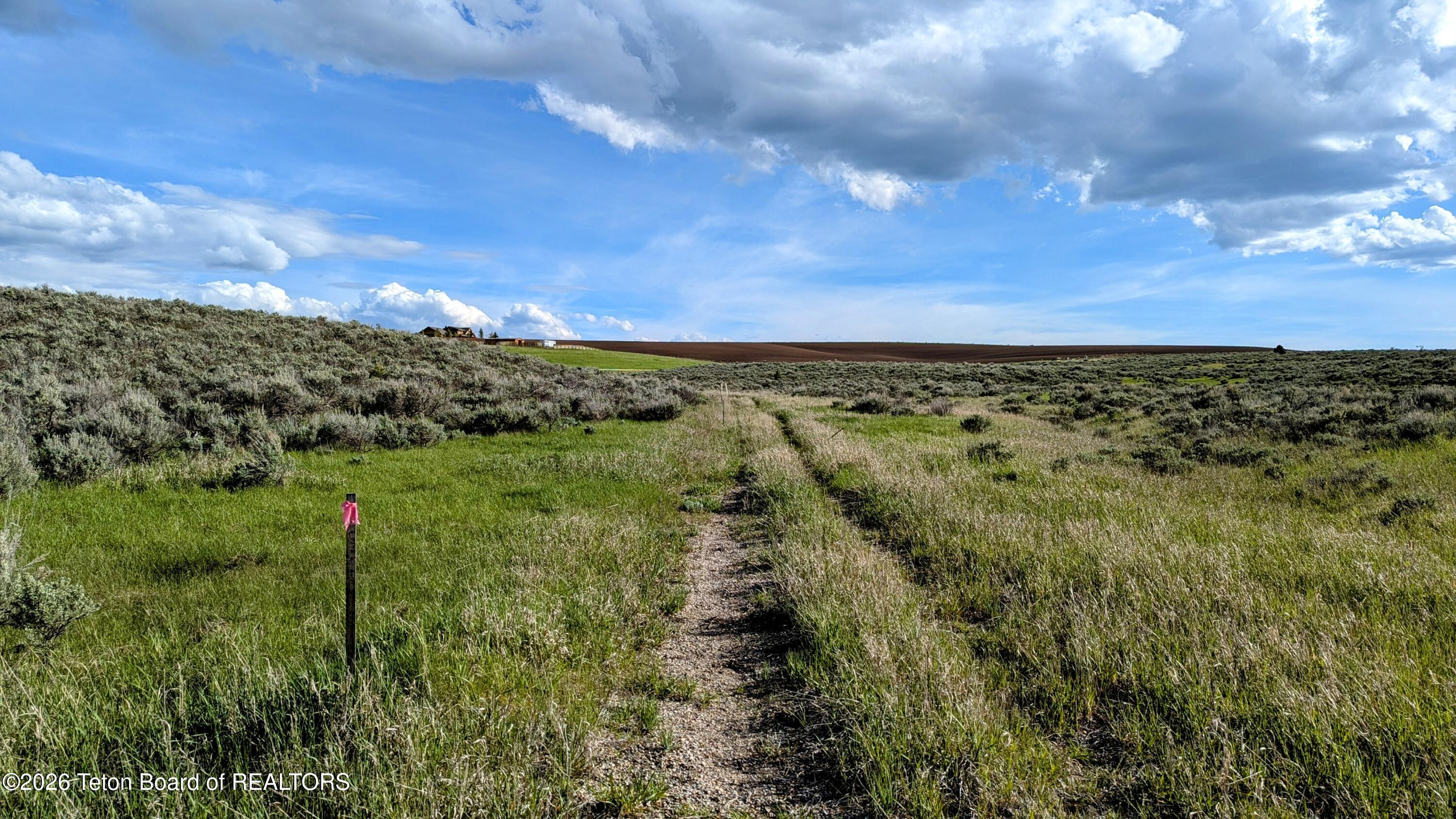 Moose Path Way Tetonia, ID 83452 - Photo 4 of 11 PXL_20250524_000139942~2