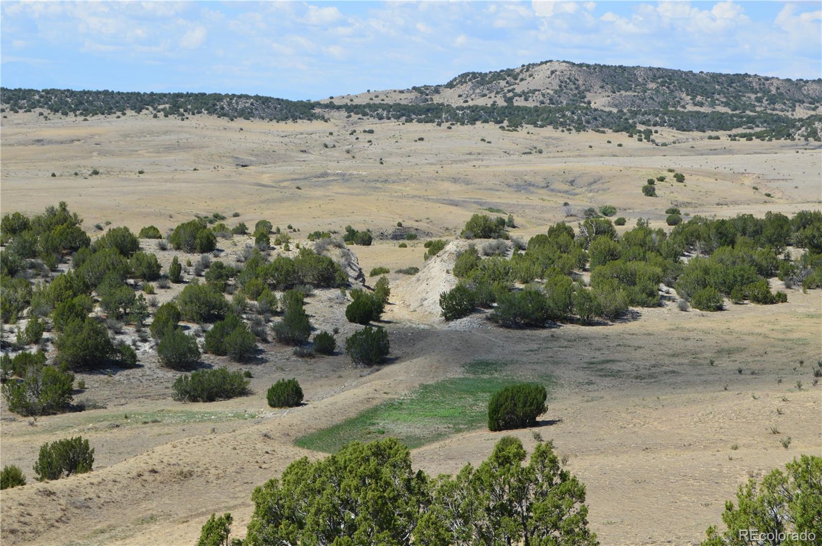 0 Claymine Road Rye, CO 81069 - Photo 2 of 50