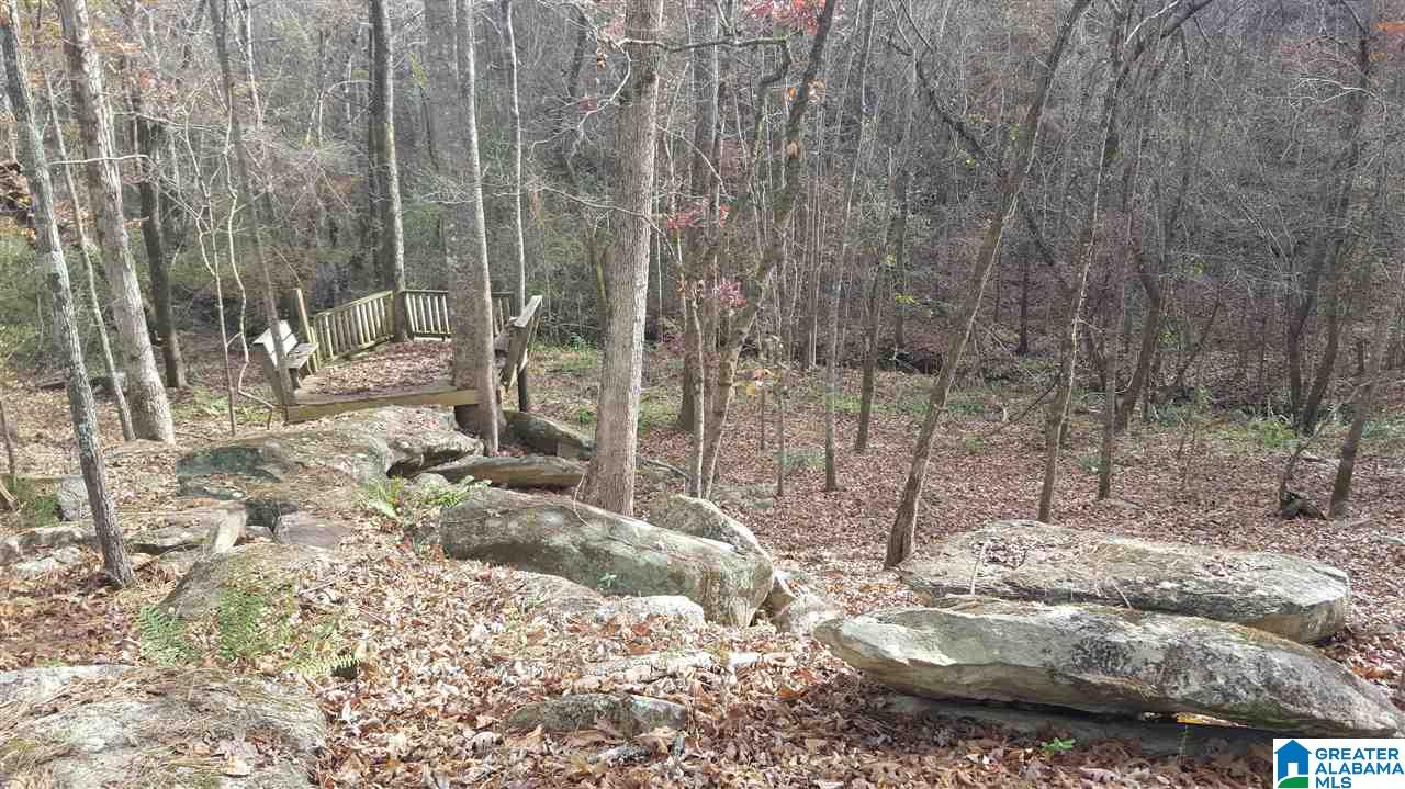 5588 Blakes Ferry Road Lineville, AL 36266 - Photo 21 of 23