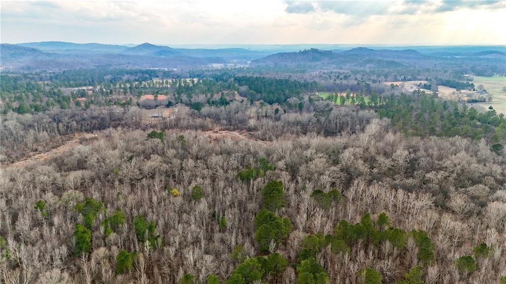 0 Sewell Road Taylorsville, GA 30178 - Photo 12 of 25 a view of a lush green field and mountains