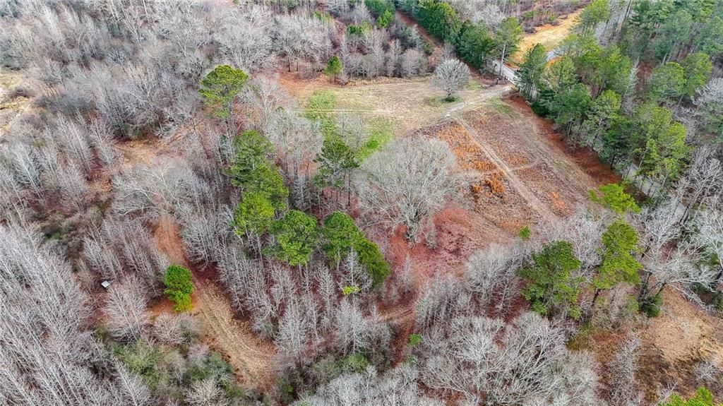 0 Sewell Road Taylorsville, GA 30178 - Photo 22 of 25 a view of a tree with a yard