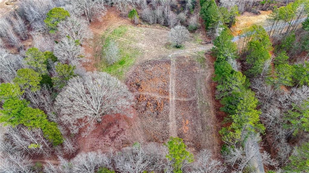 0 Sewell Road Taylorsville, GA 30178 - Photo 23 of 25 a view of a plants with large trees