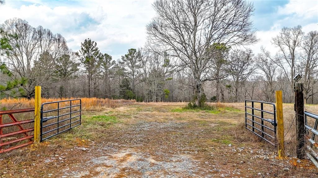 0 Sewell Road Taylorsville, GA 30178 - Photo 5 of 25 a view of a yard with wooden fence