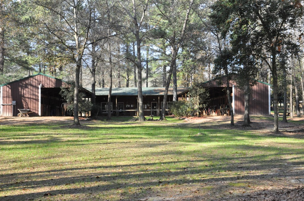 1201 Clayton Road Ridge Spring, SC 29129 - Photo 50 of 56