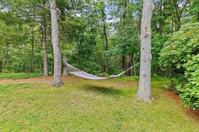 a view of a yard with a tree