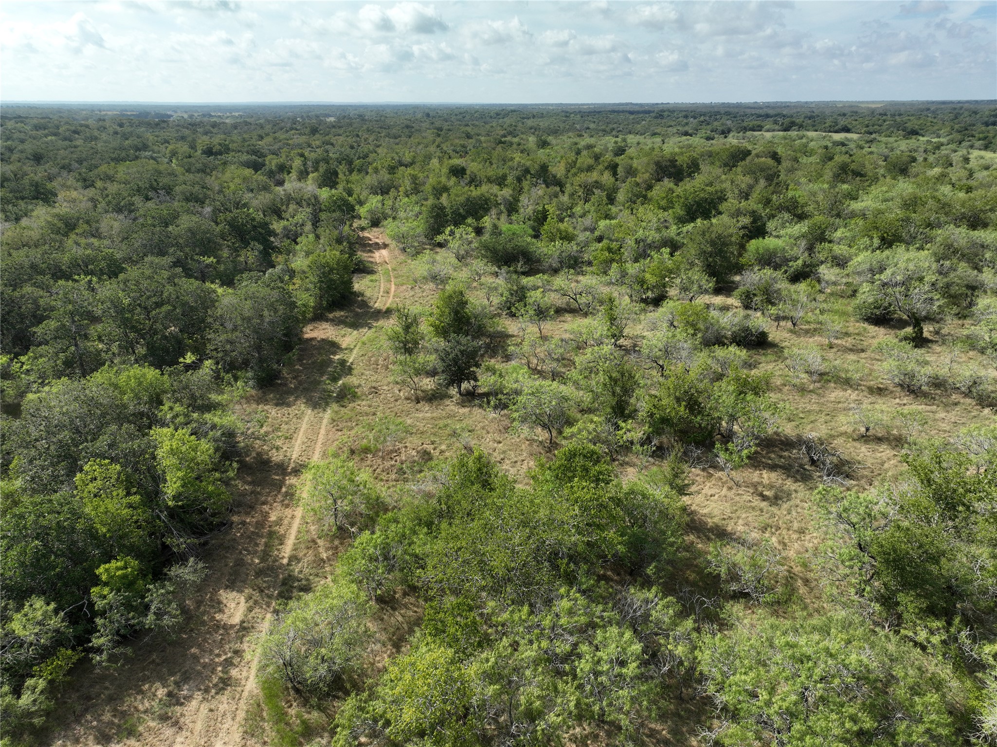 424 Rd Waelder Tx 78629 Road Waelder, TX 78959 - Photo 14 of 25 Bird's eye view