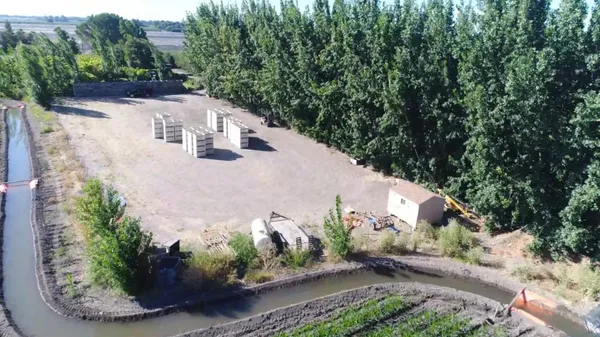 a view of a yard with potted plants