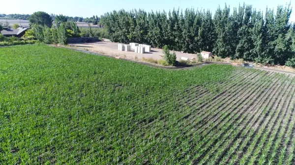 $2,200,000 | 0 River Road, Courtland, CA 95615