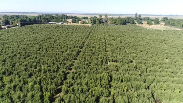 a view of a green field